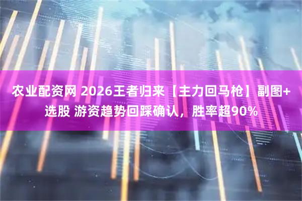 农业配资网 2026王者归来【主力回马枪】副图+选股 游资趋势回踩确认，胜率超90%