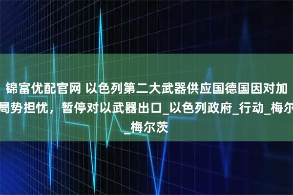 锦富优配官网 以色列第二大武器供应国德国因对加沙局势担忧,暂停对以武器出口_以色列政府_行动_梅尔茨