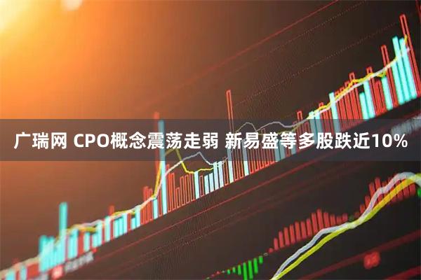 广瑞网 CPO概念震荡走弱 新易盛等多股跌近10%